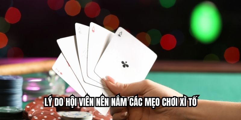 Mẹo Chơi Xì Tố Giúp Nâng Cao Tỷ Lệ Thắng Nhanh Chóng Lý do hội viên nên nắm các mẹo chơi xì tố